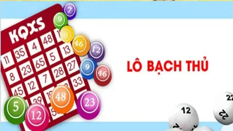 Bạch thủ lô là gì?